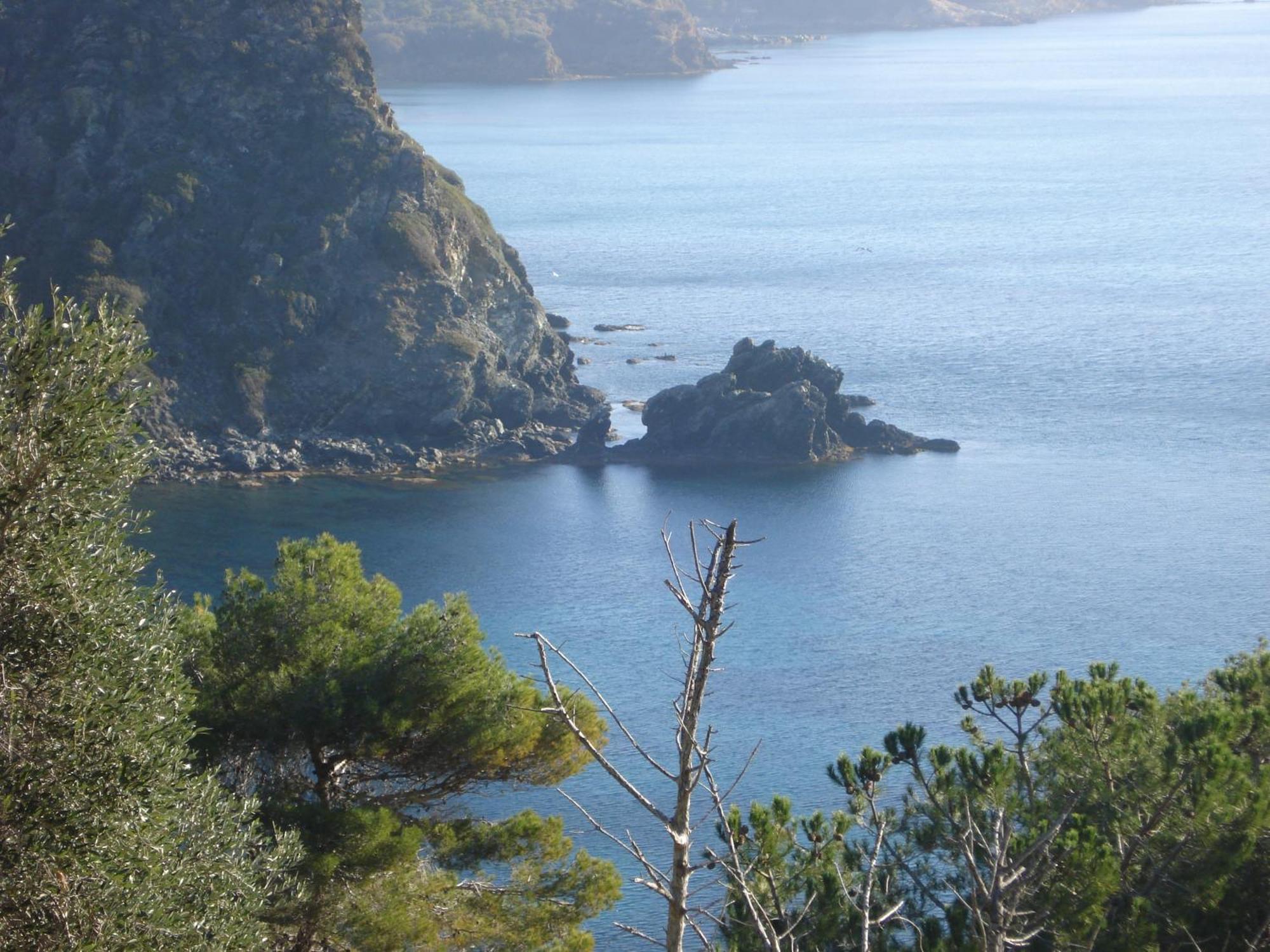 Villasoledad Appartamenti Per Vacanze Capoliveri  Ngoại thất bức ảnh